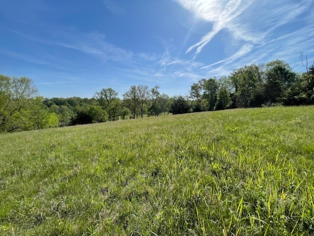 0 Highway 31w White House TN 37188