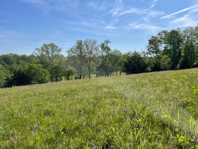 0 Highway 31w White House TN 37188