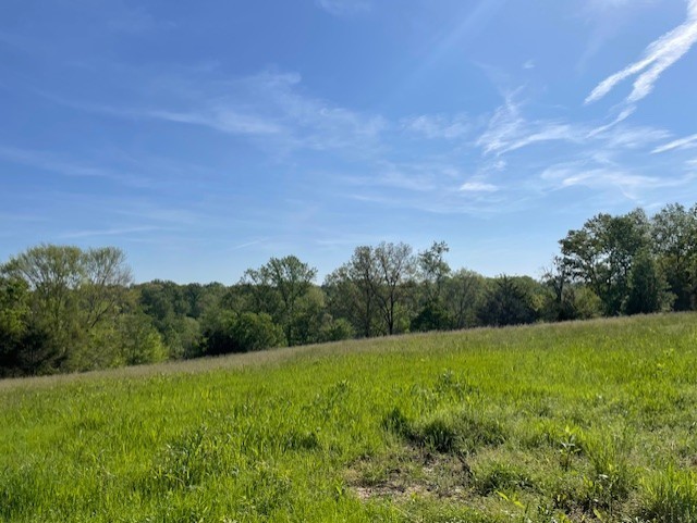 0 Highway 31w White House TN 37188