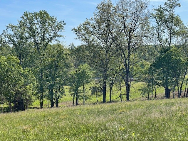0 Highway 31w White House TN 37188