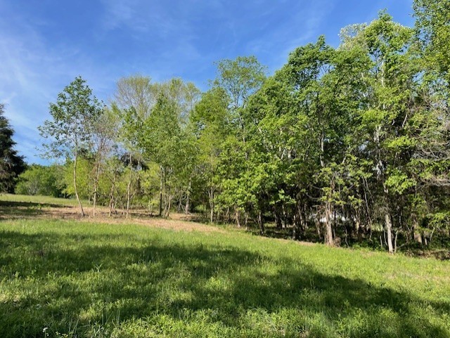 0 Highway 31w White House TN 37188