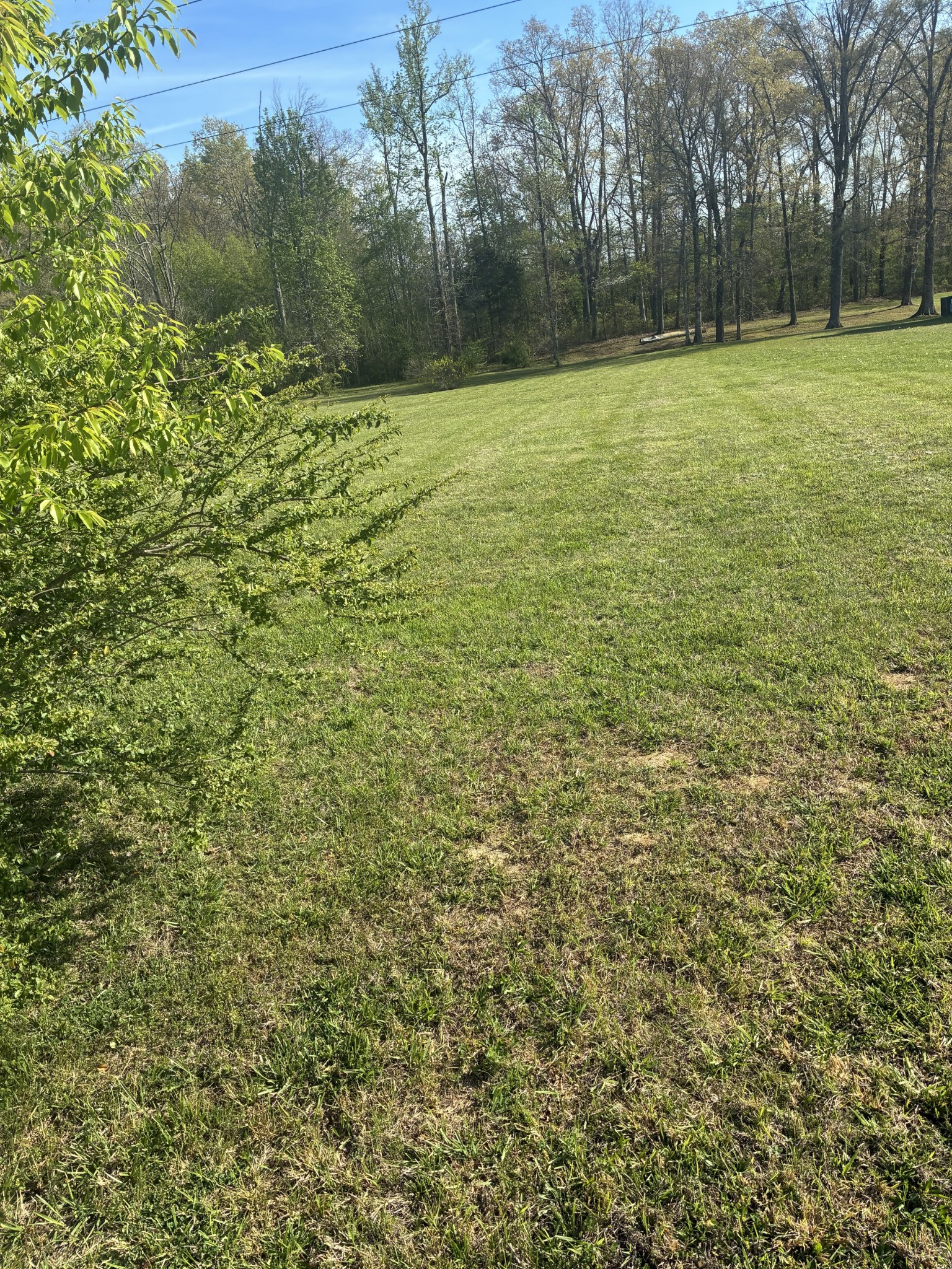0 Green Meadow Drive Smithville TN 37166