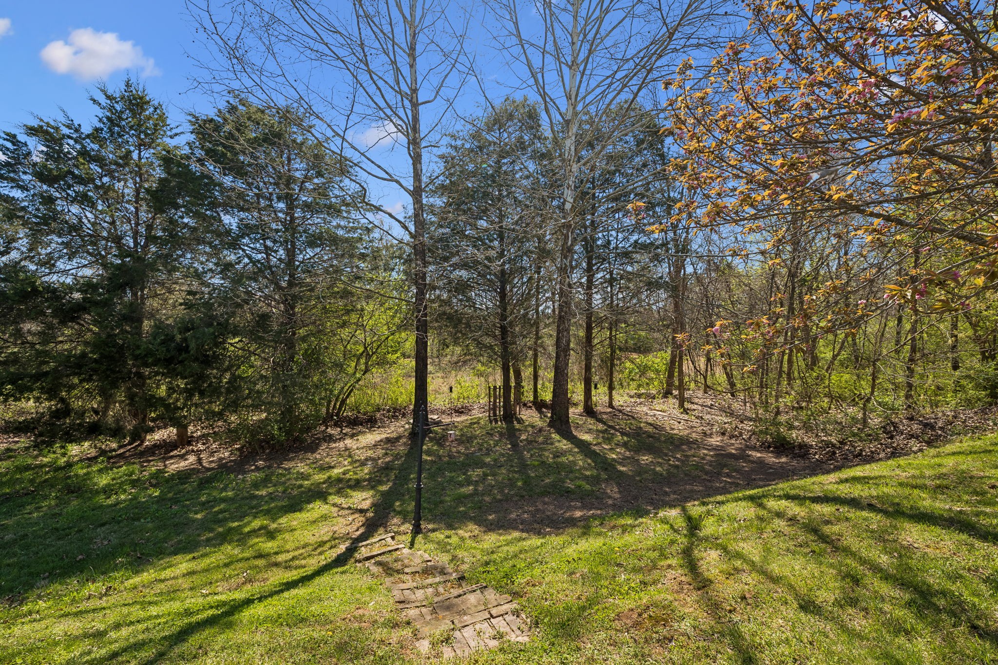 5014 Saint Ives Drive Murfreesboro TN 37128