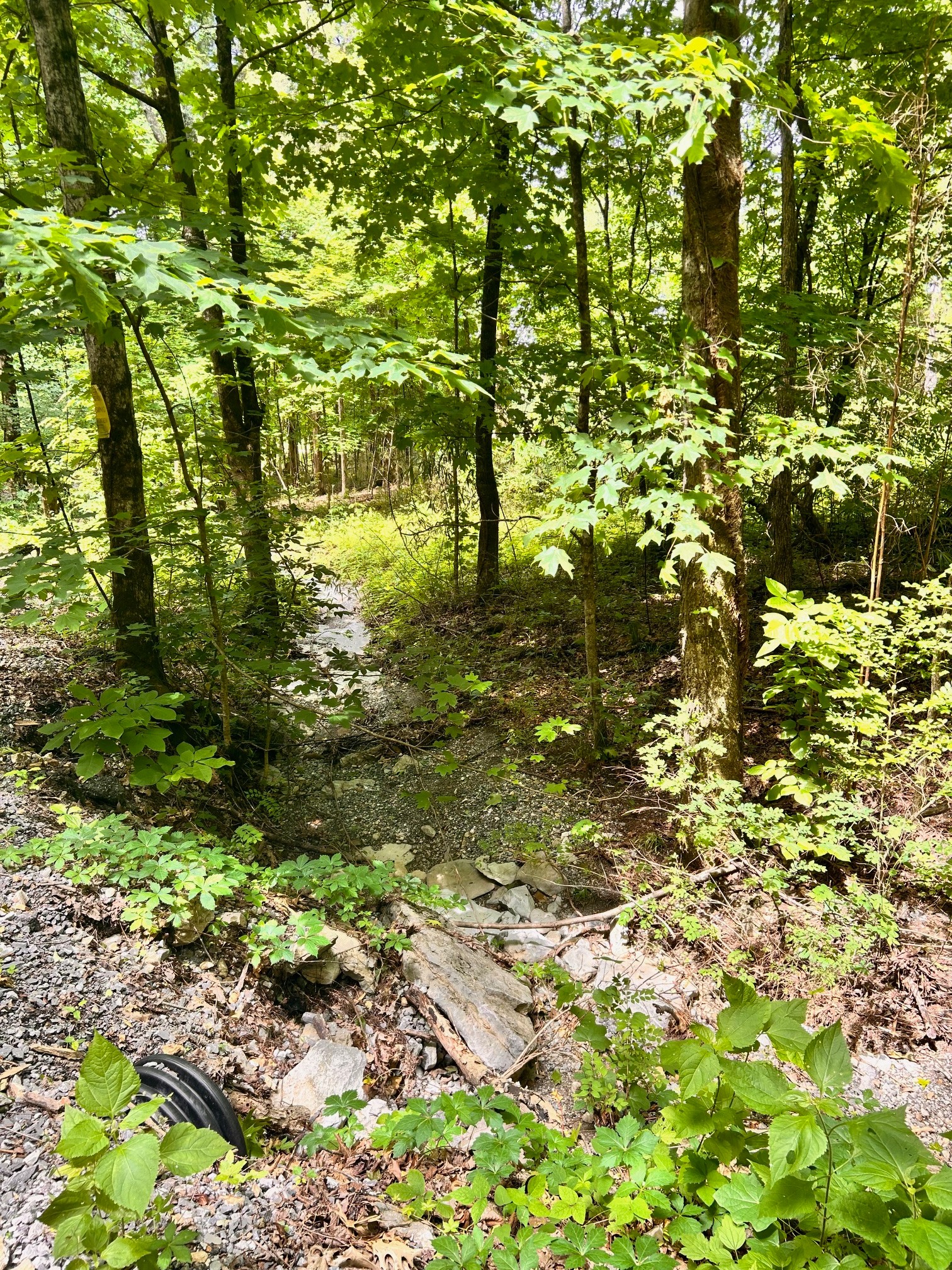 0 Heine Lane Hartsville TN 37074