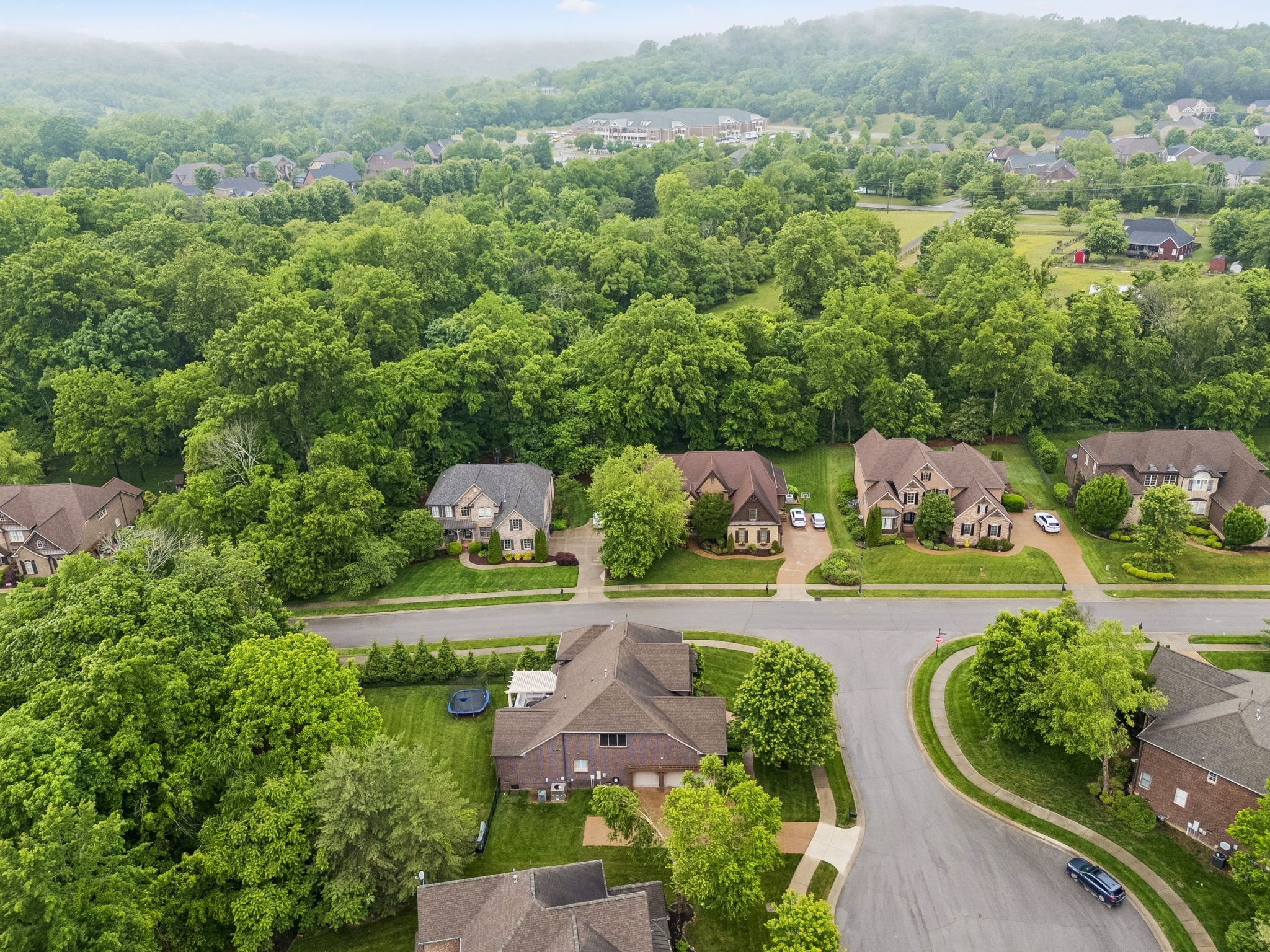 9200 Cline Court Franklin TN 37067
