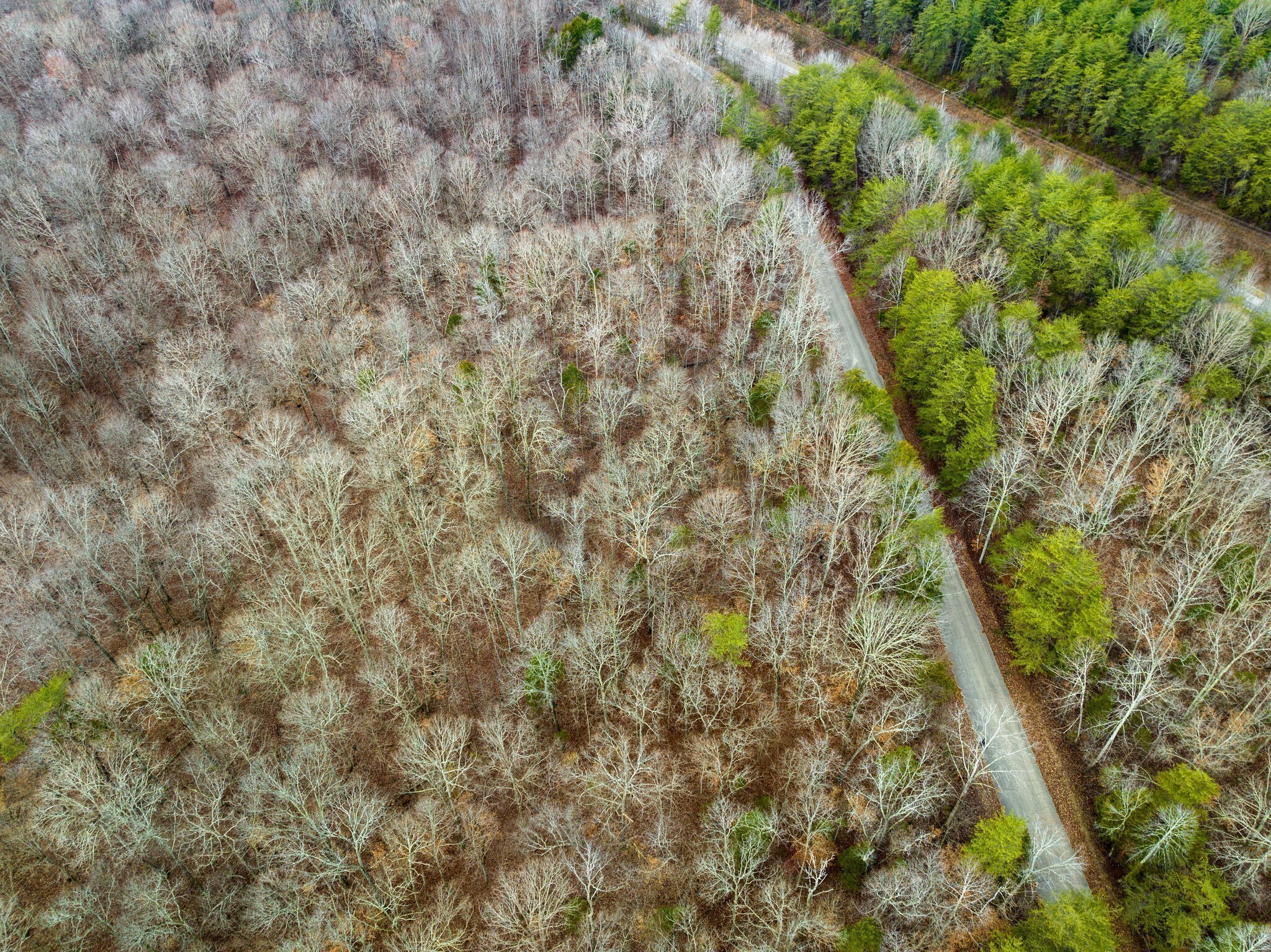 120 Old Highway 96 Burns TN 37029