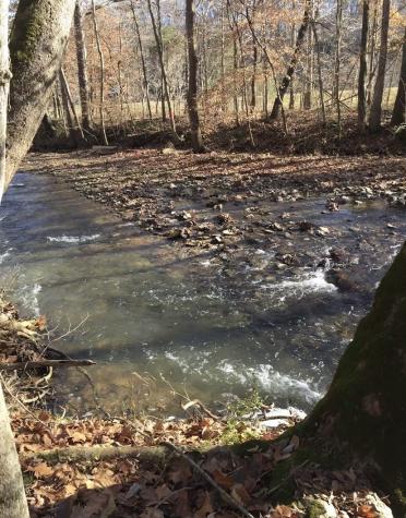 120 Old Highway 96 Burns TN 37029