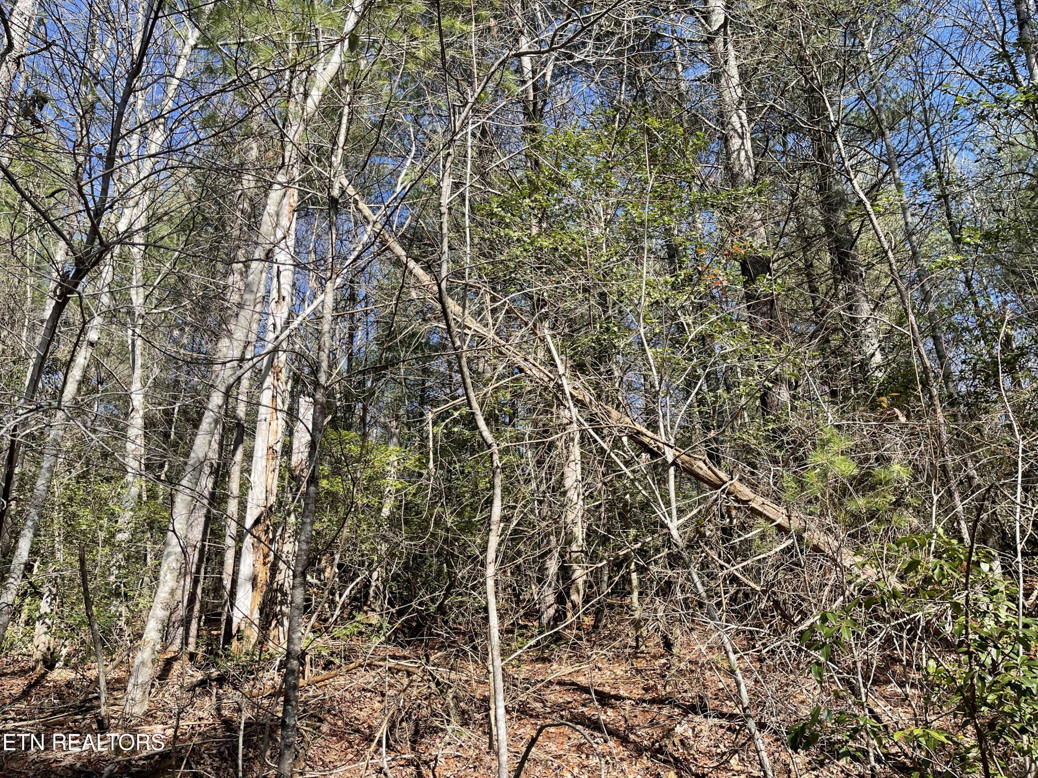 24 Chipman Court Crossville TN 38558