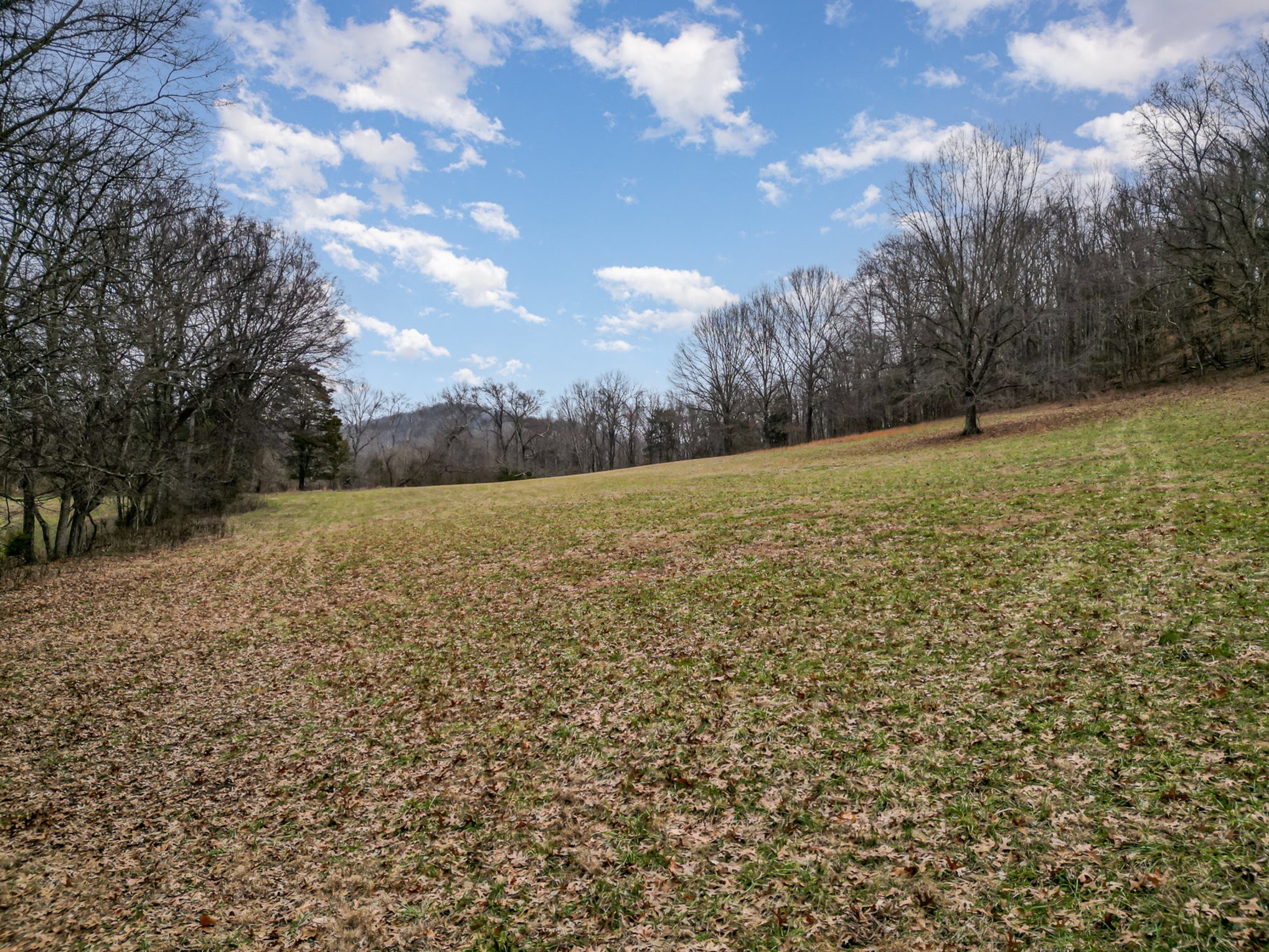 4511 Harpeth School Road Franklin TN 37064