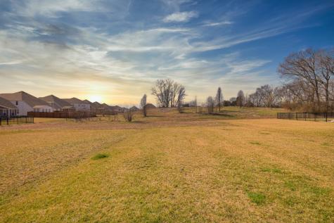 709 Conifer Drive Spring Hill TN 37174
