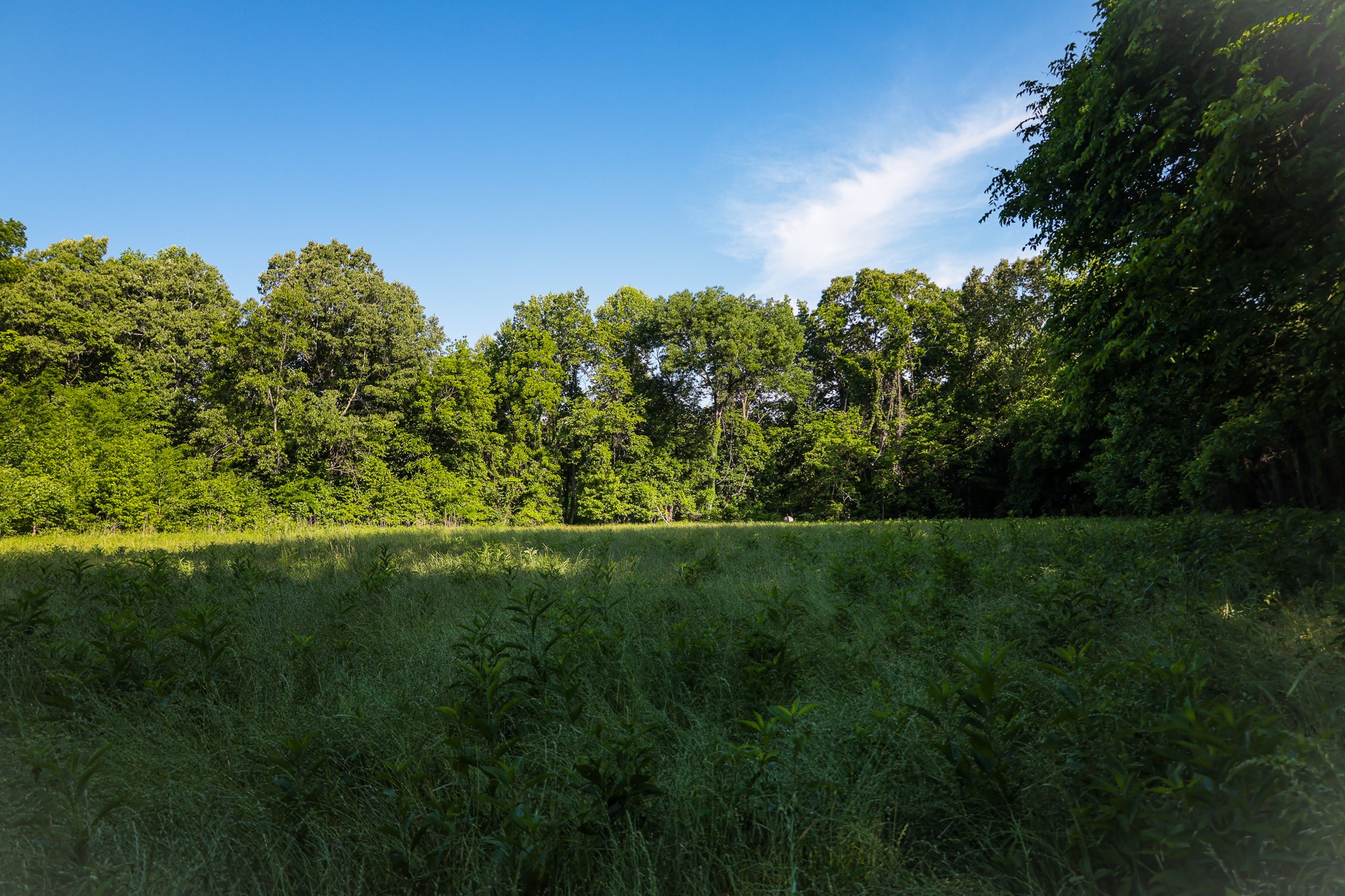 0 Bunches Chapel Road Parsons TN 38363