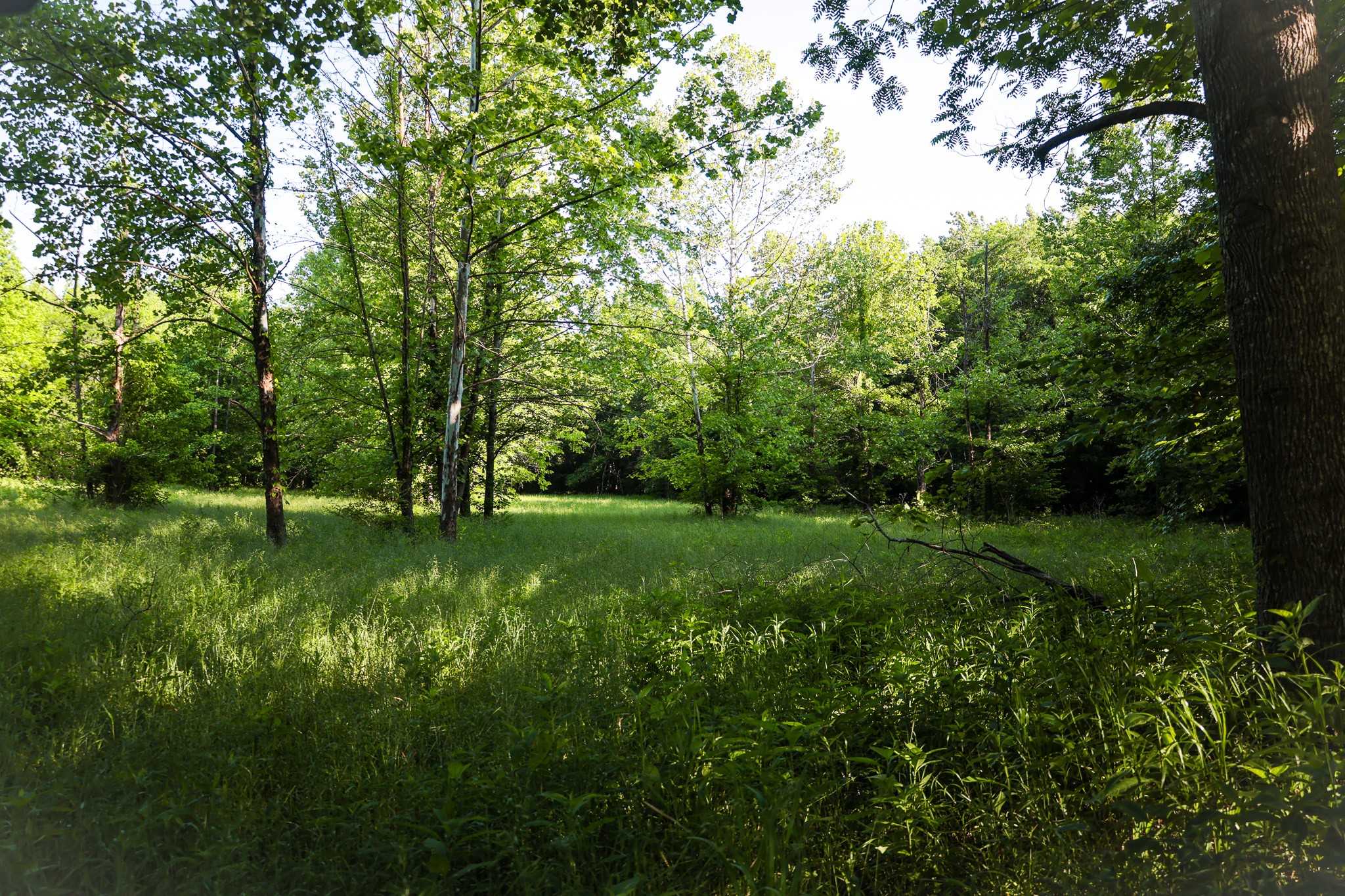 0 Bunches Chapel Road Parsons TN 38363