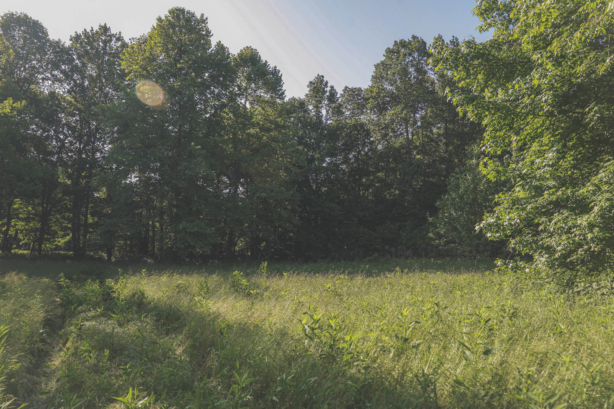 0 Bunches Chapel Road Parsons TN 38363