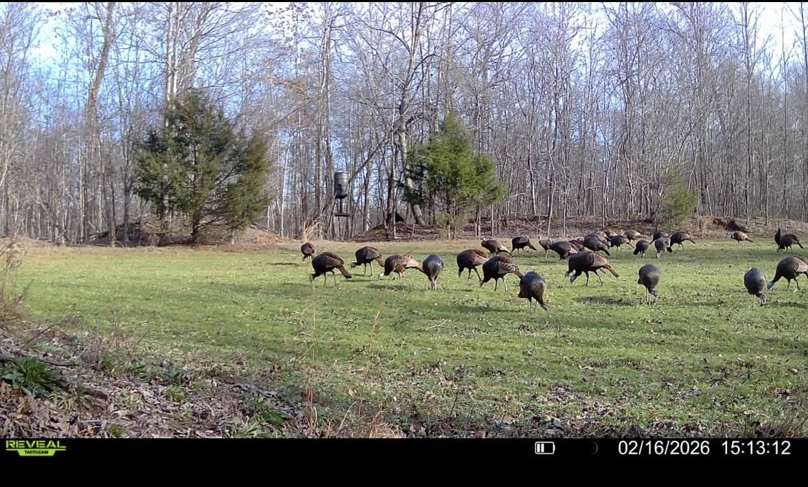 0 Bunches Chapel Road Parsons TN 38363