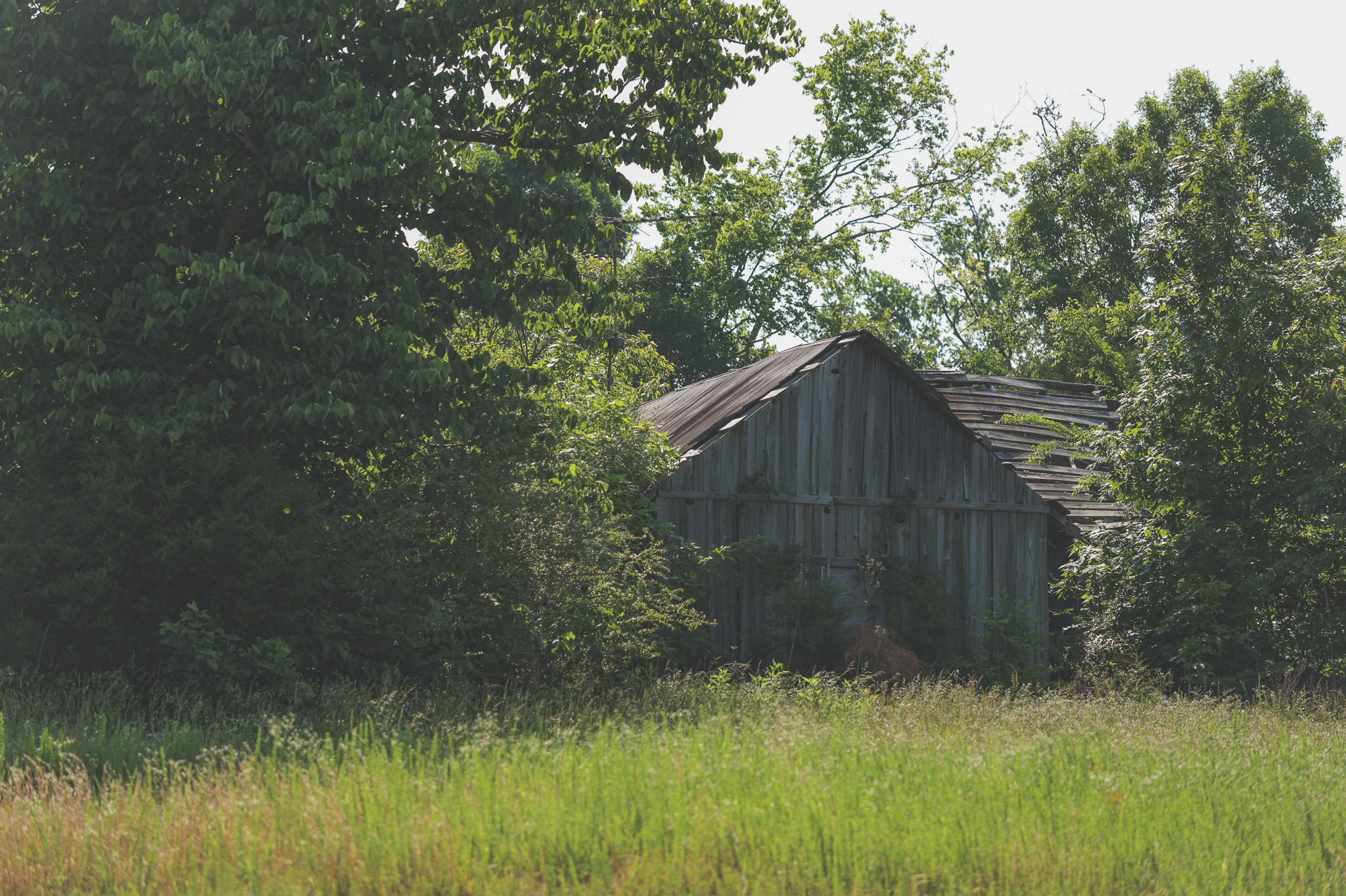 0 Bunches Chapel Road Parsons TN 38363