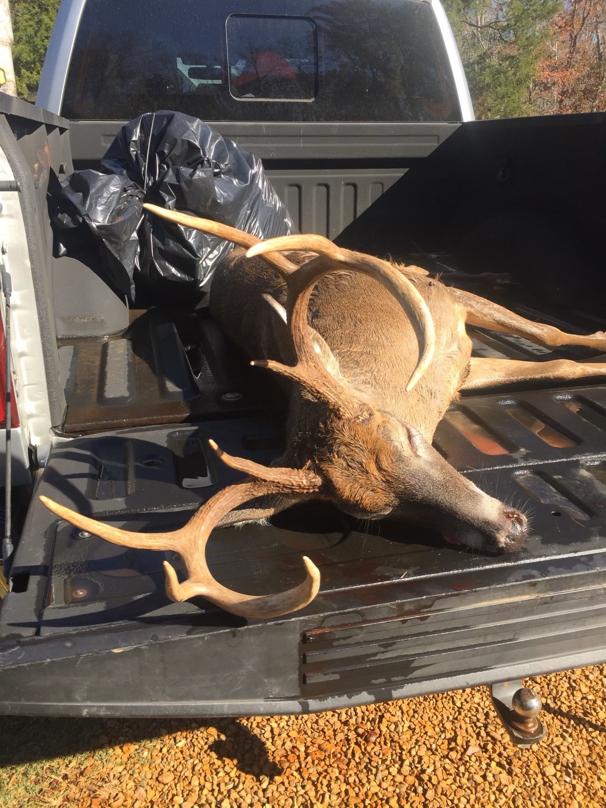 0 Bunches Chapel Road Parsons TN 38363