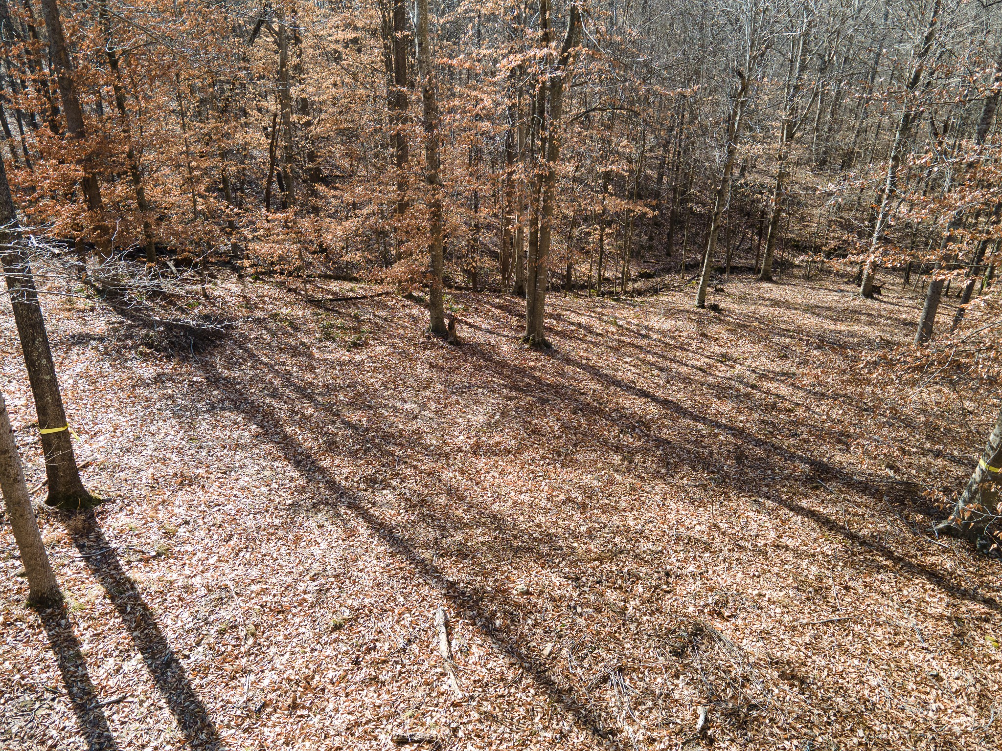 0 Highway 49 Off Ashland City TN 37015