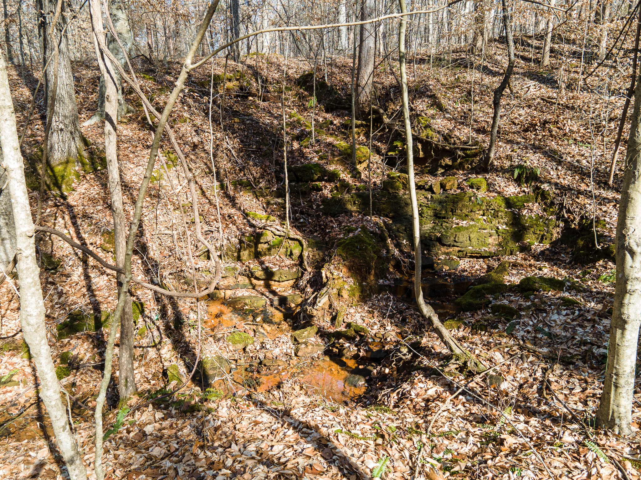 0 Highway 49 Off Ashland City TN 37015