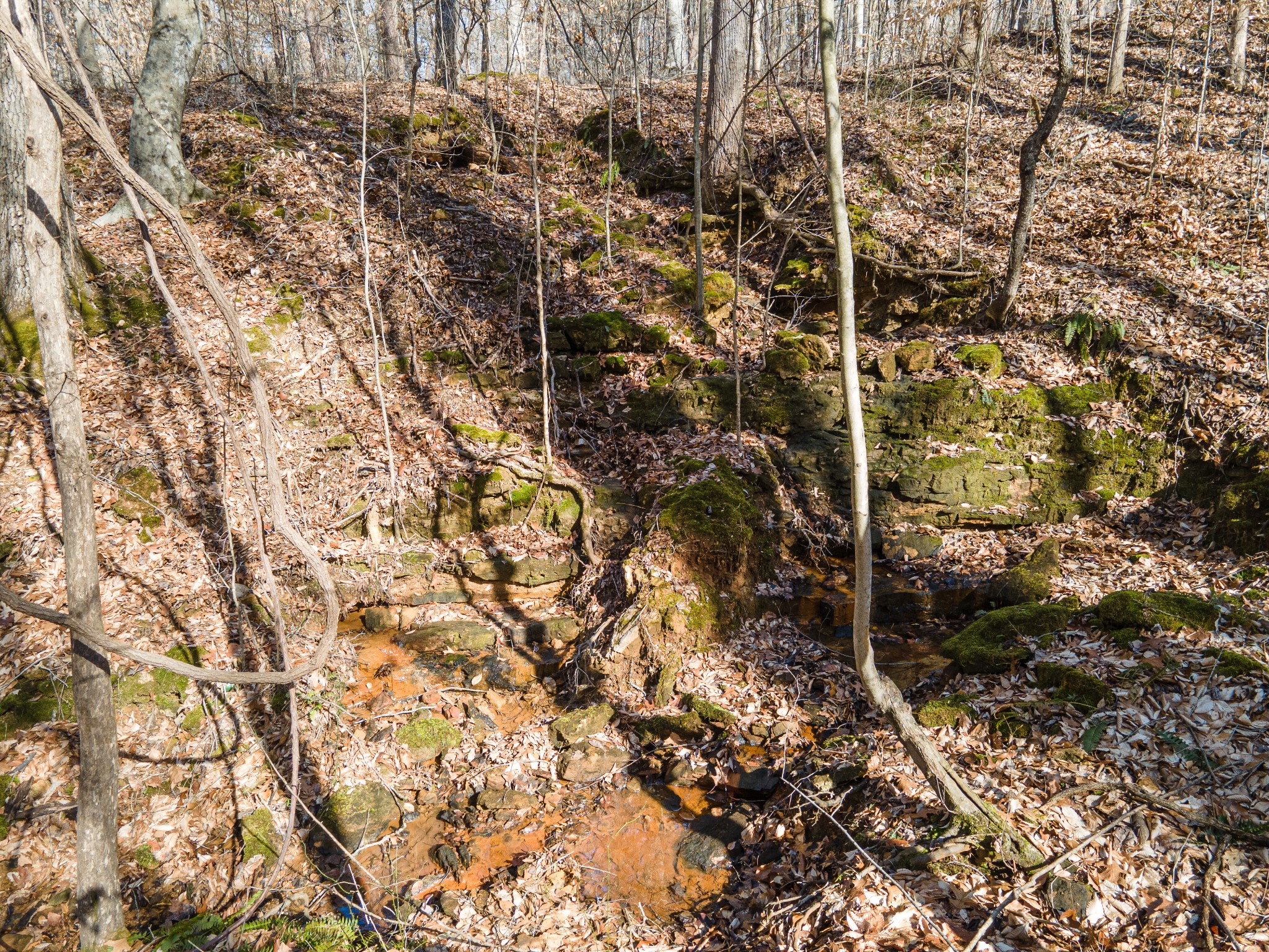0 Highway 49 Off Ashland City TN 37015