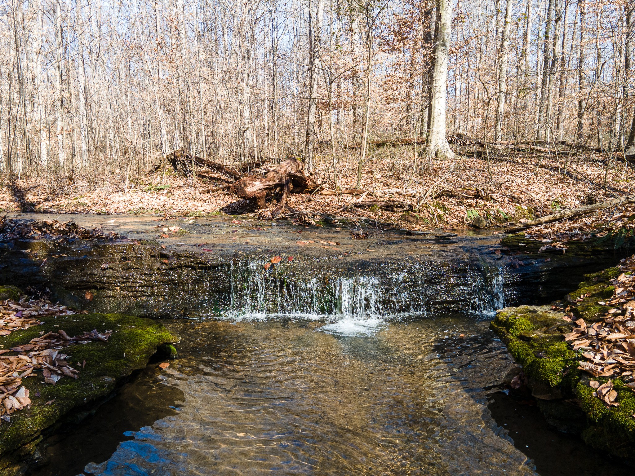 0 Highway 49 Off Ashland City TN 37015