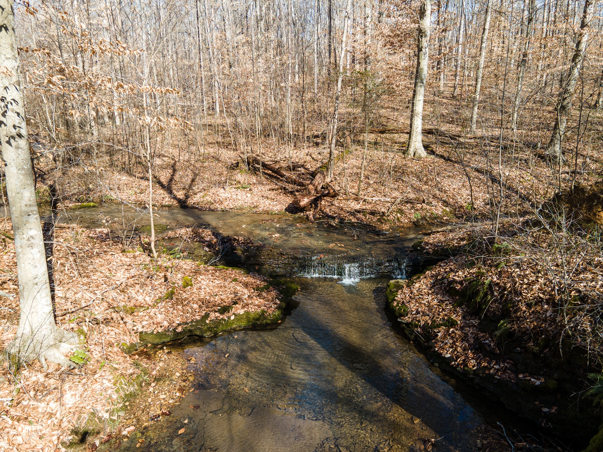 0 Highway 49 Off Ashland City TN 37015