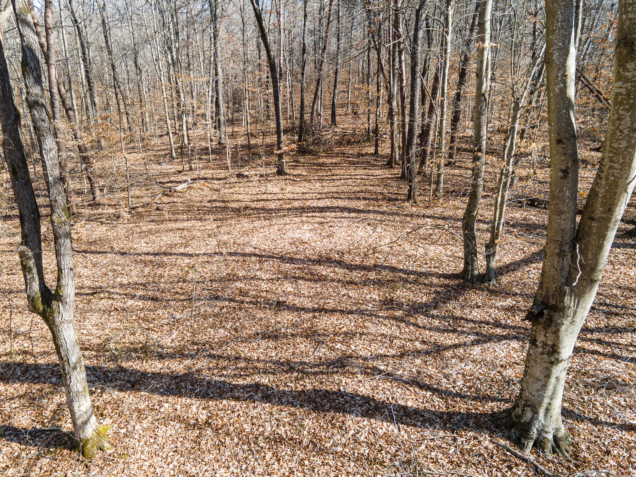 0 Highway 49 Off Ashland City TN 37015