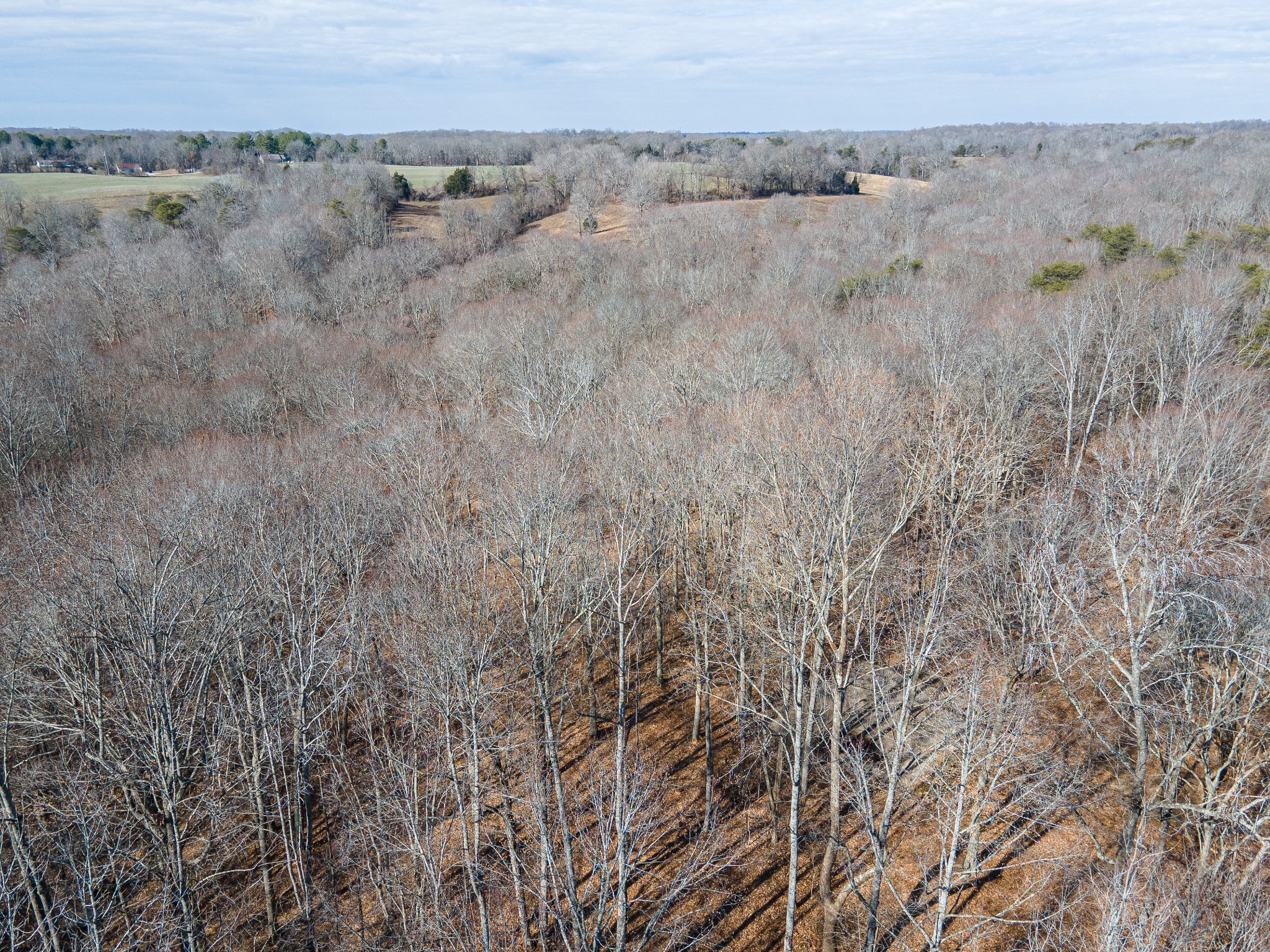 0 Highway 49 Off Ashland City TN 37015