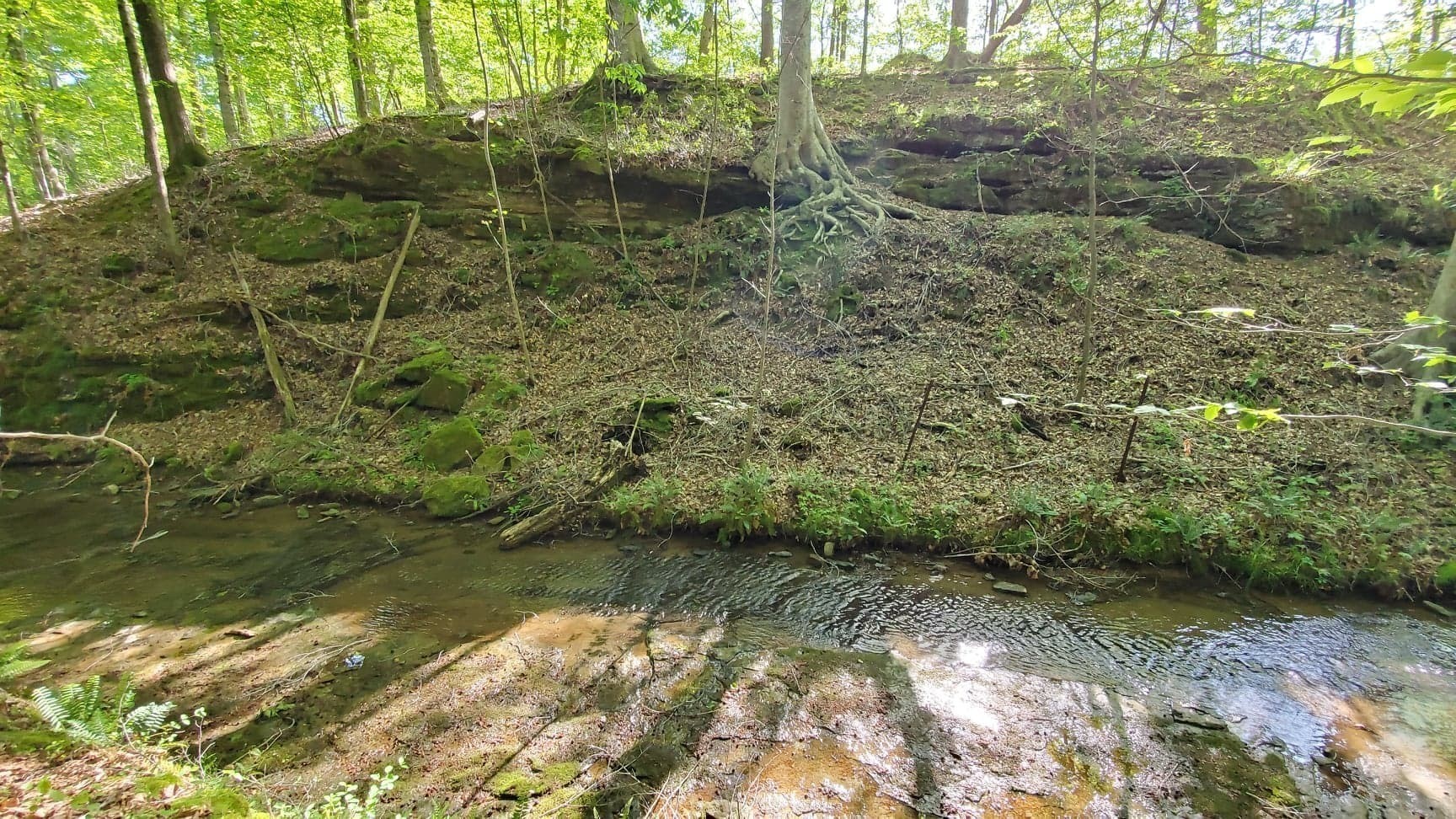 0 Highway 49 Off Ashland City TN 37015