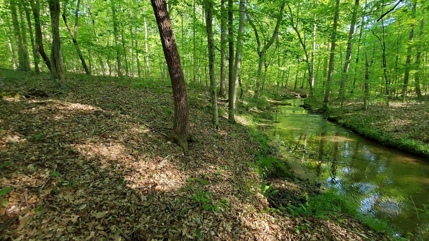 0 Highway 49 Off Ashland City TN 37015