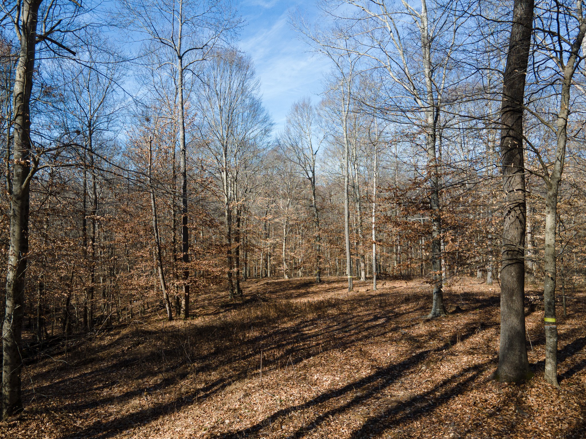 0 Highway 49 Off Ashland City TN 37015