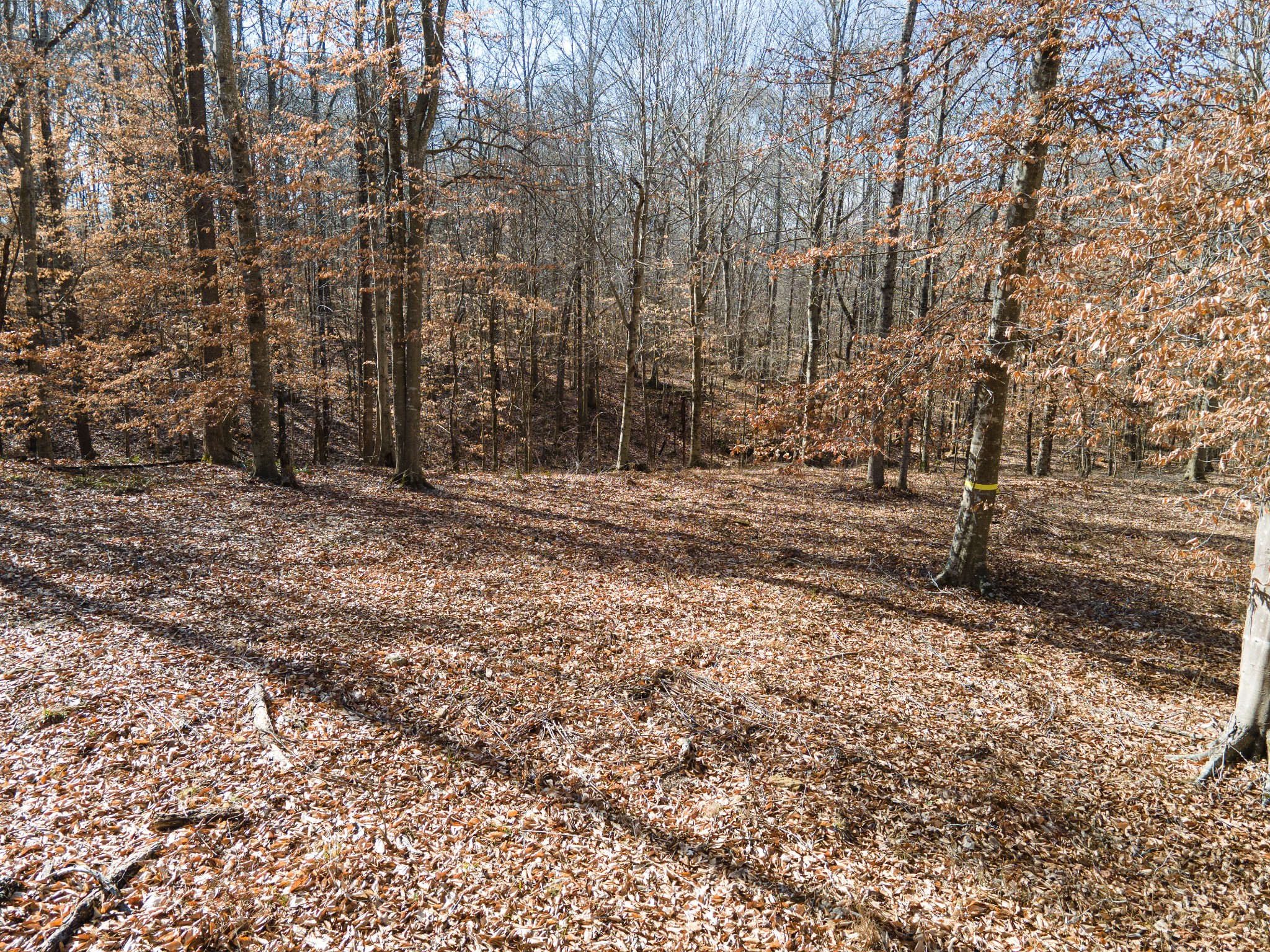 0 Highway 49 Off Ashland City TN 37015