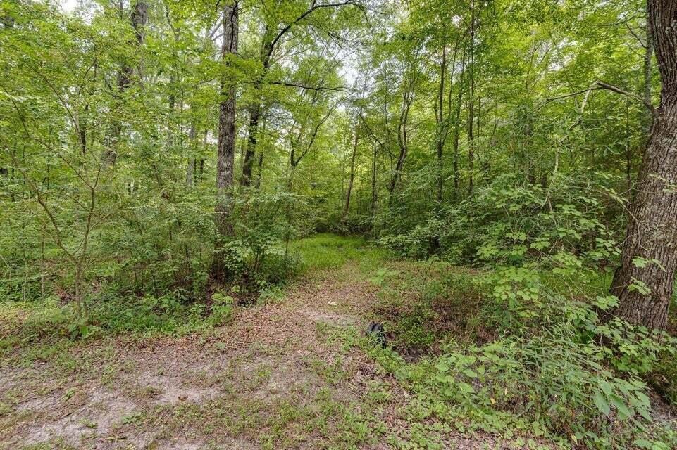 101 Homestead Street, NE Cleveland TN 37323