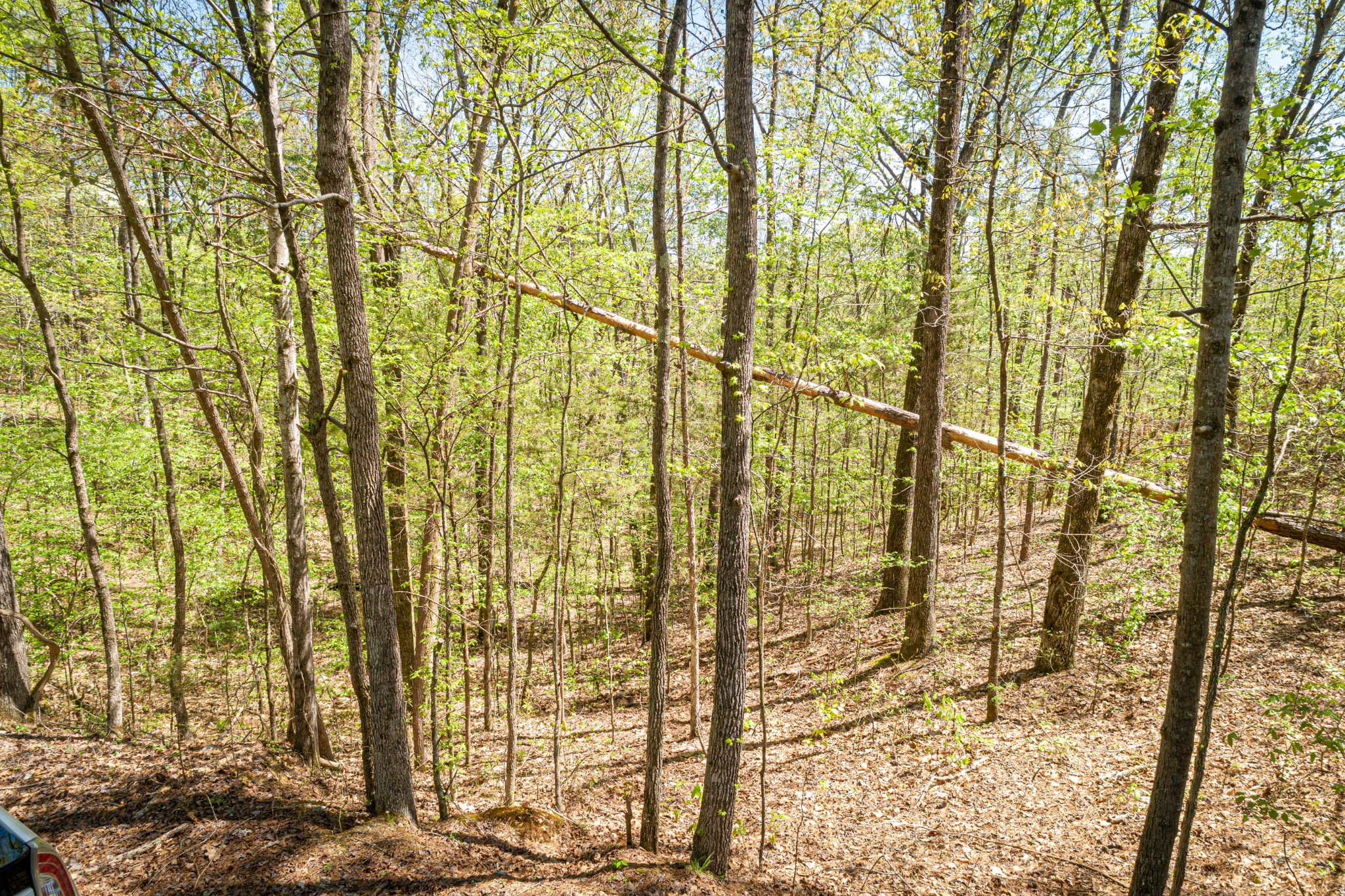 0 Fawn Ridge Road Parsons TN 38363