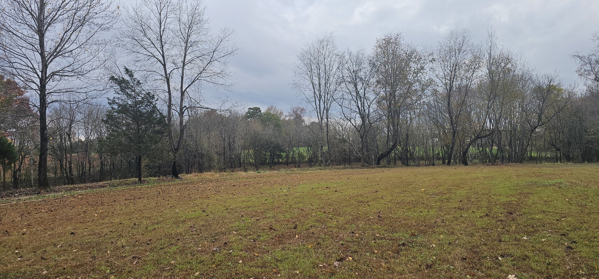 0 Poplar Ridge Lane Chapmansboro TN 37035