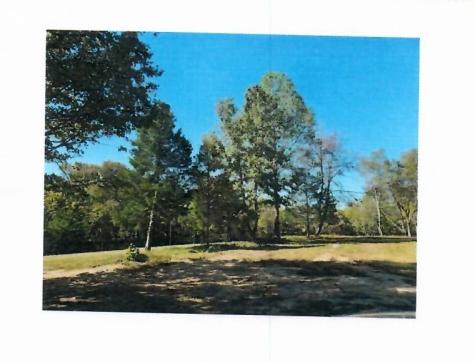 0 Poplar Ridge Lane Chapmansboro TN 37035