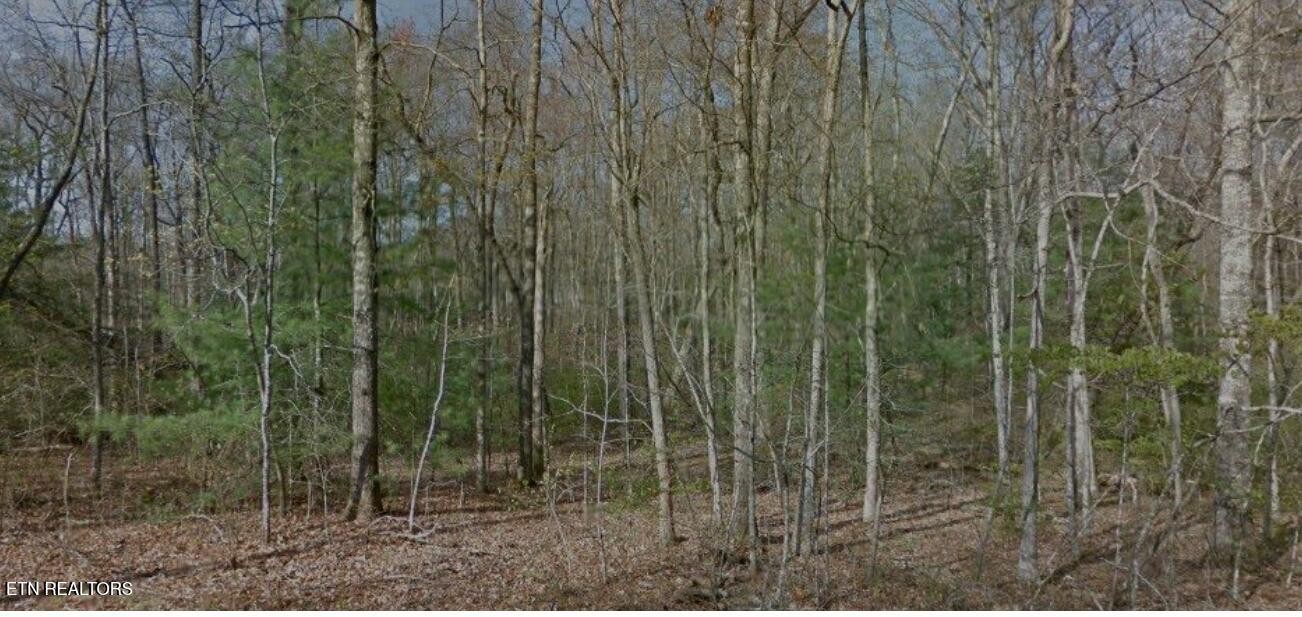 8042 Saratoga Drive Crossville TN 38572