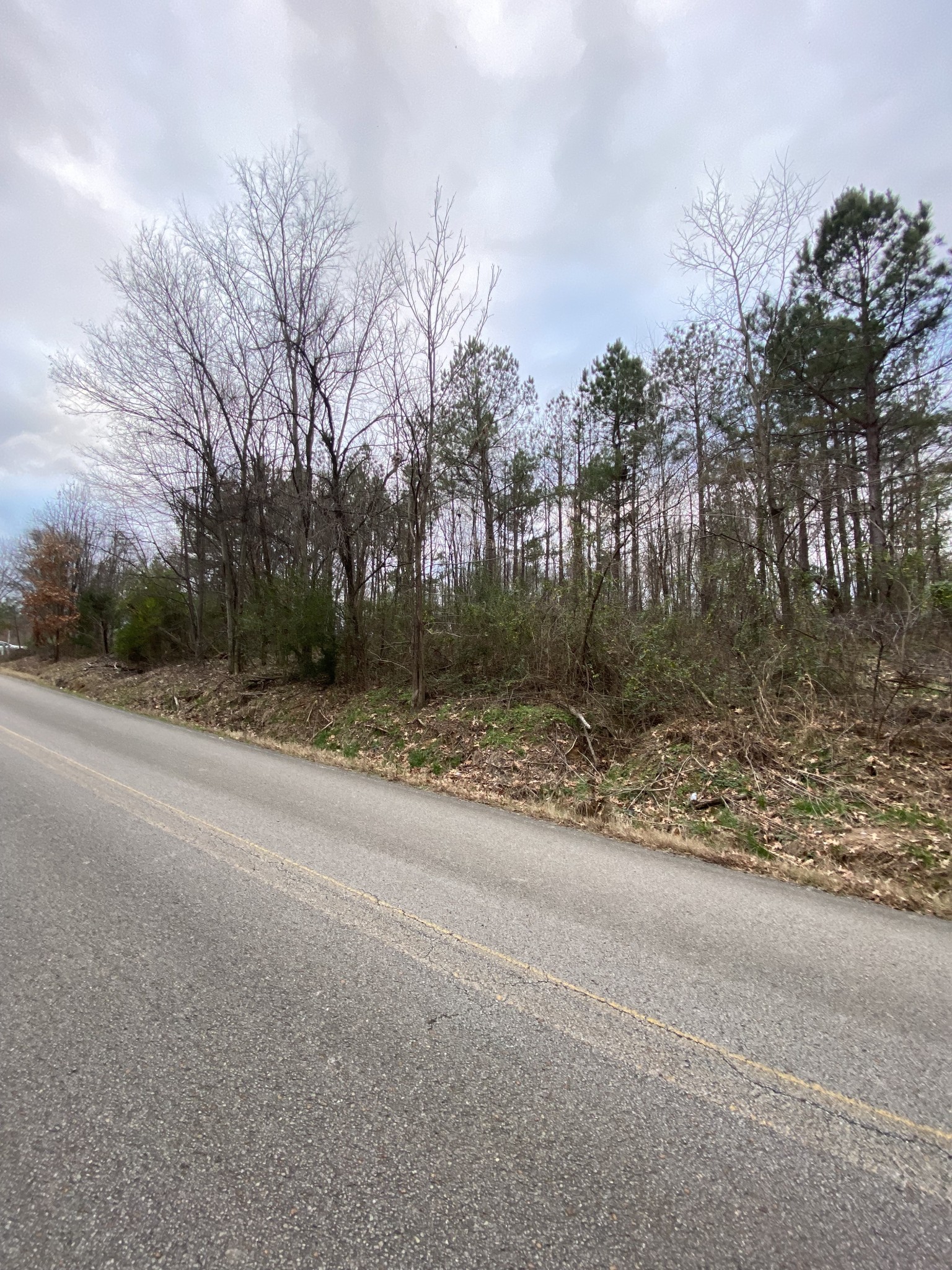 1434 Key Corner Street Extension Brownsville TN 38012