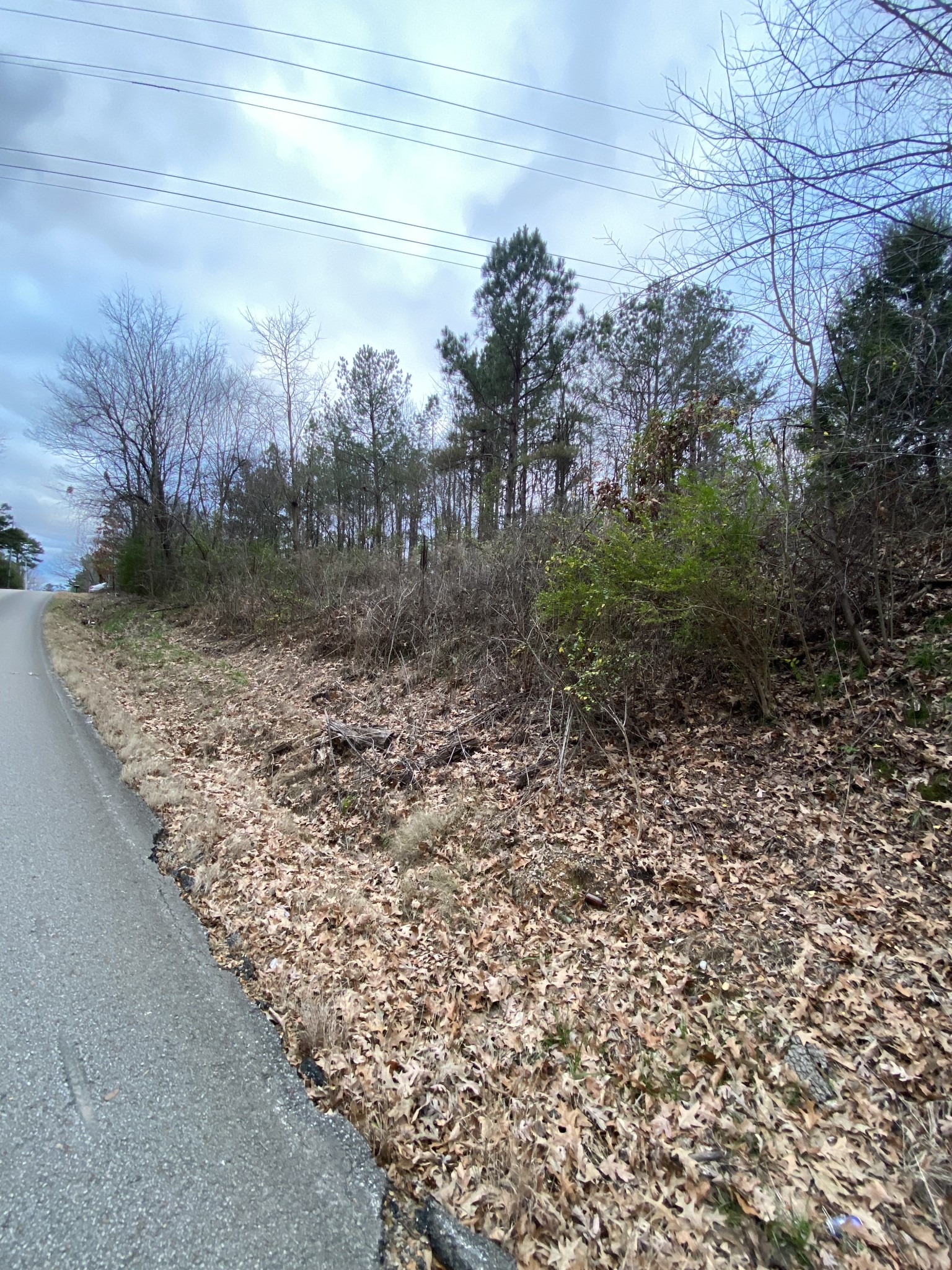 1434 Key Corner Street Extension Brownsville TN 38012