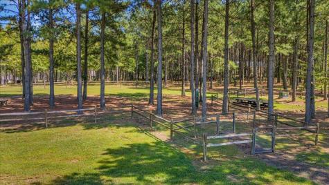 234 Lookout View Drive Jasper TN 37347