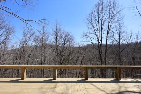 1196 Lakeside Drive Smithville TN 37166