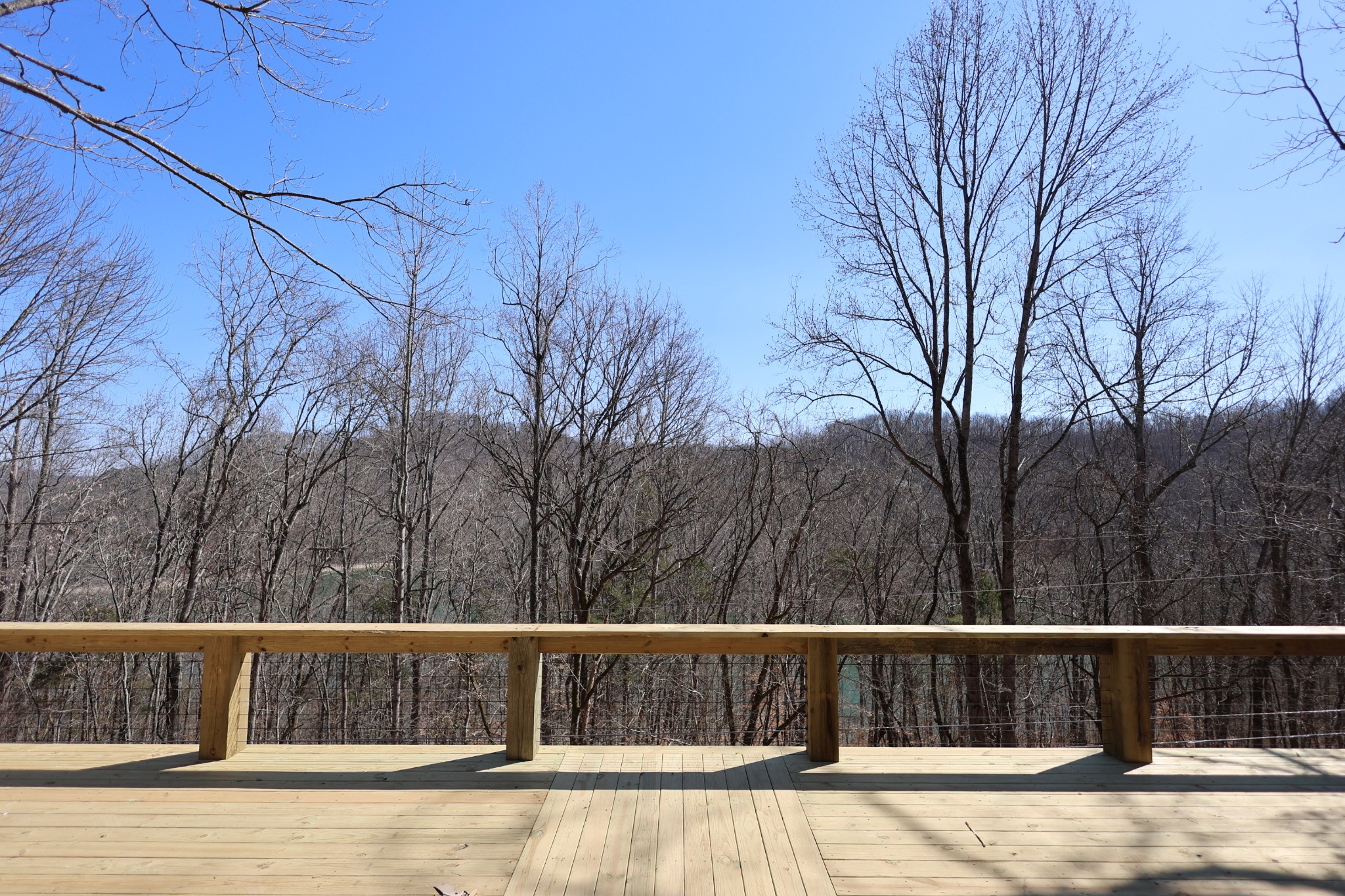1196 Lakeside Drive Smithville TN 37166