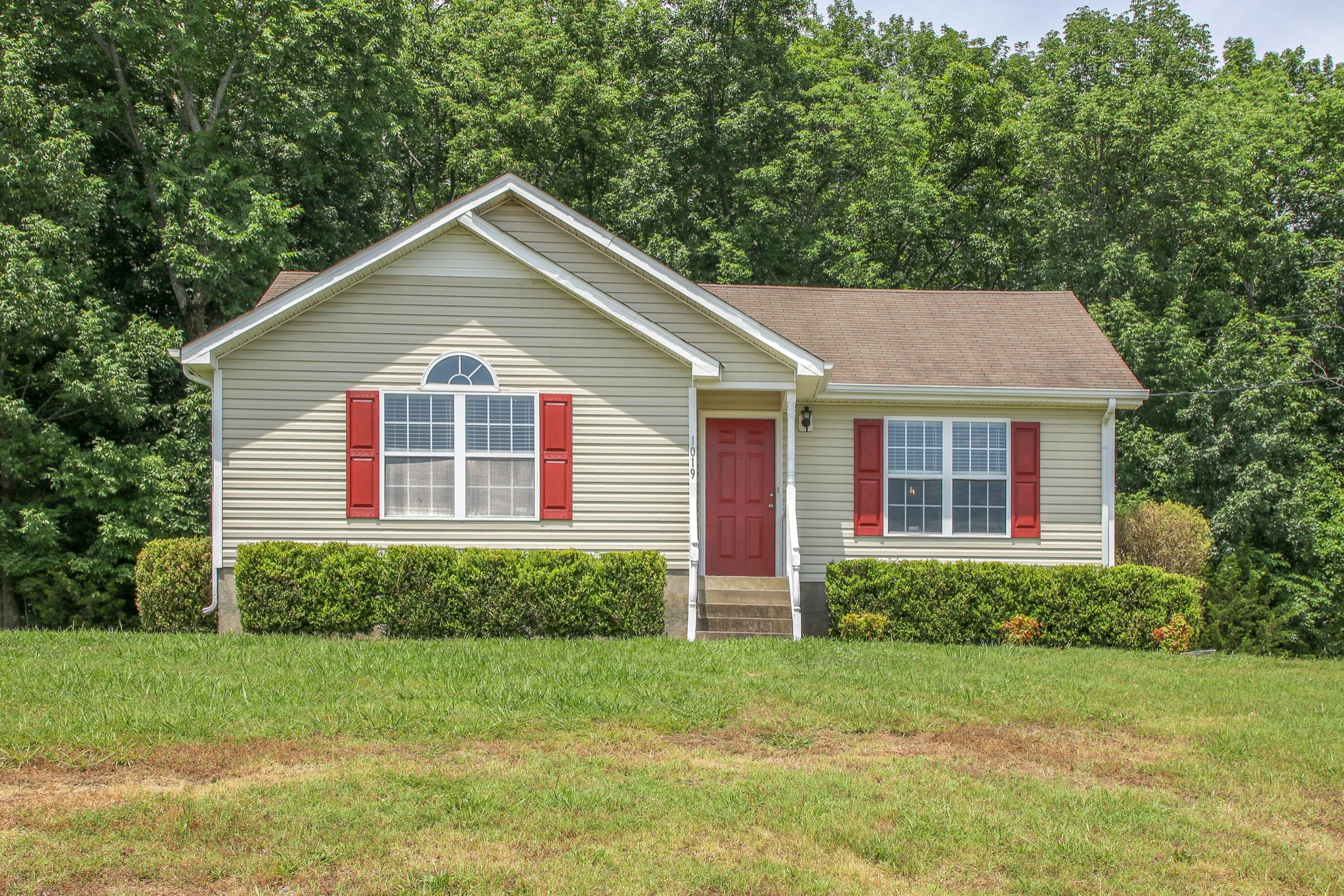 1019 Sky Valley Trail Smyrna TN 37167