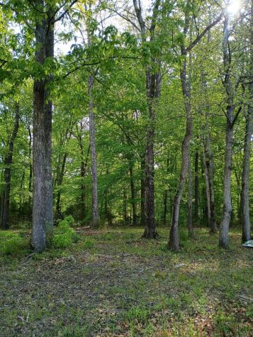 44 County Road 219 Decatur TN 37322