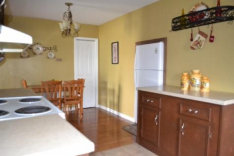 218 E Lake Avenue Celina TN 38551