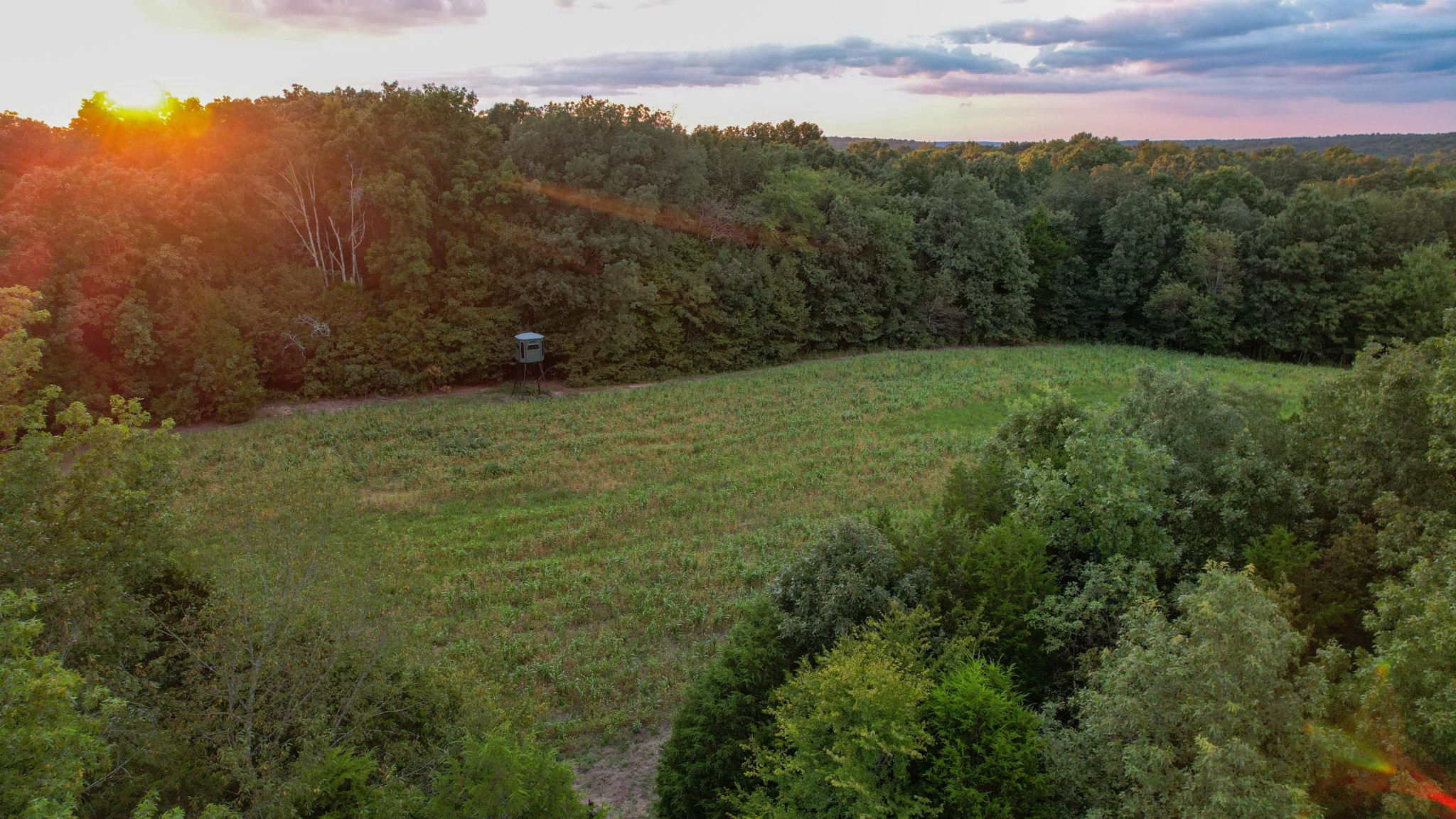 1651 Yellow Creek Dickson TN 37055