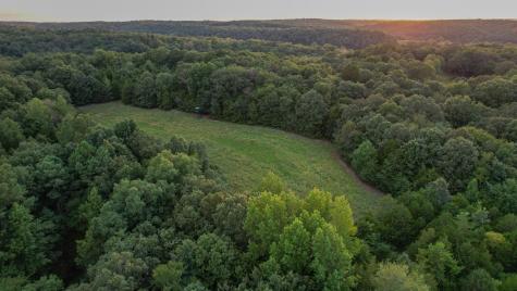 1651 Yellow Creek Dickson TN 37055