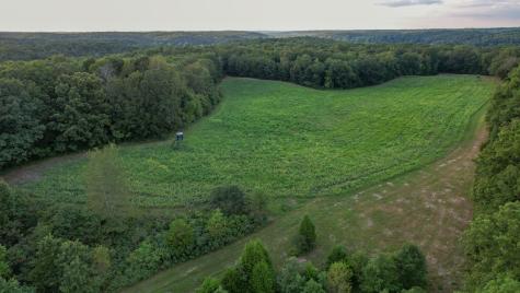 1651 Yellow Creek Dickson TN 37055