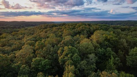 1651 Yellow Creek Dickson TN 37055