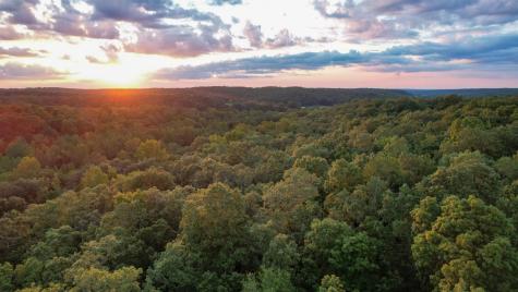 1651 Yellow Creek Dickson TN 37055