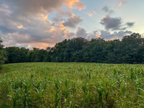 1651 Yellow Creek Dickson TN 37055